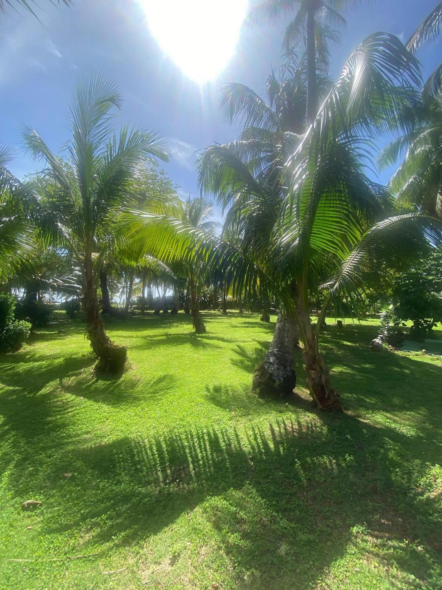 South End Villas - Apartamentos Paradisiaco En El Caribe Colombiano San Andrés Zewnętrze zdjęcie